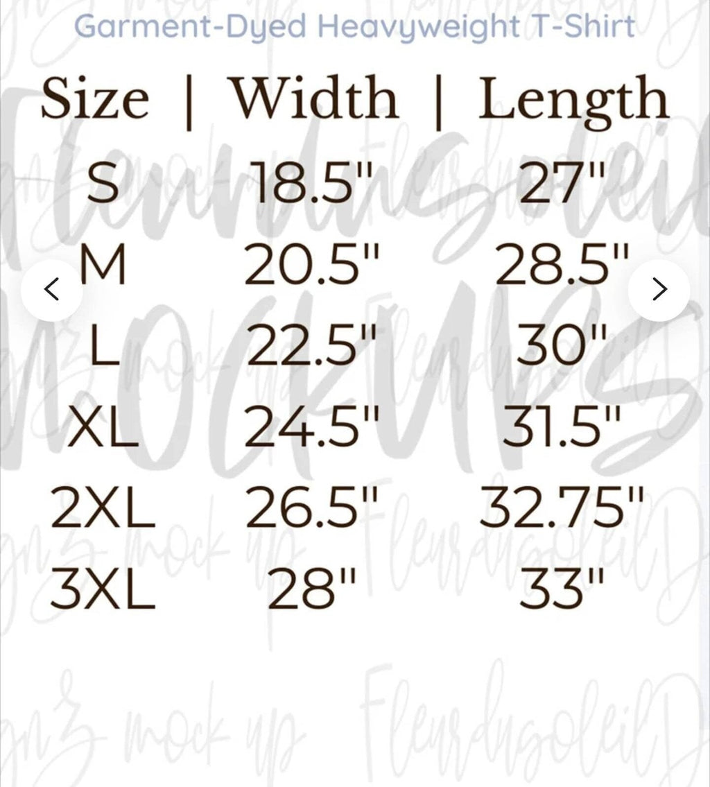 New Orleans 'Swamplands Gator Territory' T-Shirt | The Big Easy | Garment Dyed